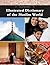 Illustrated Dictionary of the Muslim World