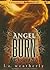 Angel Burn by L.A. Weatherly