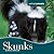 Skunks