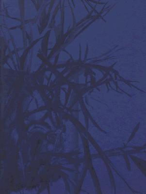 Artificial Light: New Light-Based Sculpture and Installation Art (Hardcover)