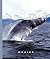 Whales (World of Mammals)