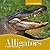 Alligators