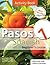 Pasos 1 Spanish Beginner's Course: Activity Book
