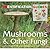 Mushrooms And Other Fungi (Identification Guides)