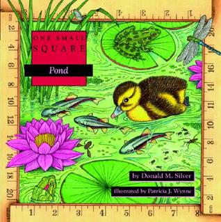 Pond (Paperback)
