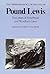 Pound / Lewis: The Letters of Ezra Pound and Wyndham Lewis (The Correspondence of Ezra Pound)