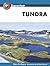 Tundra