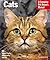 Cats by Katrin Behrend