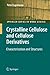 Crystalline Cellulose and Derivatives: Characterization and Structures (Springer Series in Wood Science)