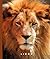 Lions (The World of Mammals, 1244)