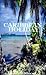 Caribbean Holiday by Bidwell Moore