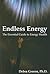Endless Energy: The Essential Guide to Energy Health
