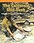 The California Gold Rush: Multiplying and Dividing Using Three- And Four-Digit Numbers (Powermath, 0)