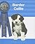 Border Collie (Breeders' Best: A Kennel Club Book)