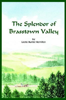 The Splendor of Brasstown Valley: Mountain Folks (Paperback)