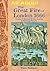 The Great Fire of London 1666 by Pam Robson
