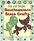 Fun and Simple Southeastern State Crafts: West Virginia, Virginia, North Carolina, South Carolina, Georgia, and Florida (Fun and Simple State Crafts)