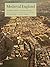 Medieval England: An Aerial Survey (Cambridge Air Surveys)