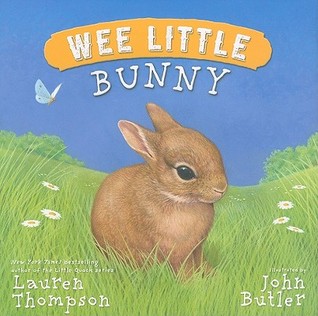 Wee Little Bunny (Hardcover)