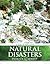 Natural Disasters by Patrick L. Abbott