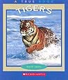 Tigers by Ann O. Squire