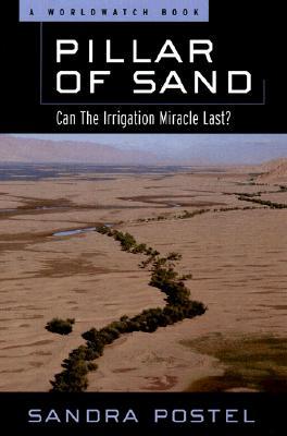 Pillar of Sand: Can the Irrigation Miracle Last? (Worldwatch Environmental Alert Series.)