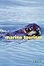Marine Tourism