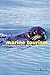 Marine Tourism by Mark Orams