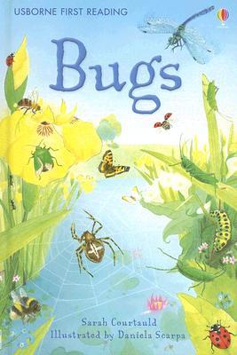 Bugs (Usborne First Reading Level 3)