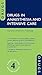 Drugs in Anaesthesia and Intensive Care