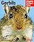 Gerbils (Barrons Complete Owner's Manual)