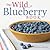 The Wild Blueberry Book