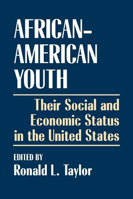 African-American Youth: Their Social and Economic Status in the United States (Paperback)