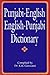 Punjabi-English/English-Punjabi Dictionary