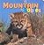 Mountain Babies