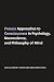Process Approaches to Consc...