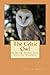 The Celtic Owl: A Year with the Celtic Faerie