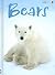 Bears (Usborne Beginners)