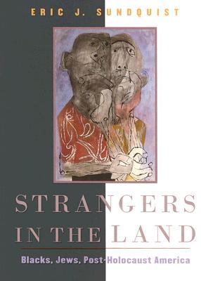 Strangers in the Land: Blacks, Jews, Post-Holocaust America (Hardcover)