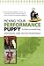 Picking your Performance Puppy