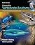 Comparative Vertebrate Anatomy: A Laboratory Dissection Guide