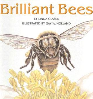 Brilliant Bees (Paperback)