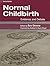 Normal Childbirth by Susan Downe BA(Hons) MSc Ph...