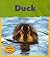 Duck (Life Cycles/Read & Learn)