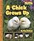 A Chick Grows Up