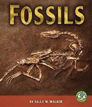 Fossils (Early Bird Earth Science)