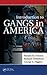 Introduction to Gangs in America