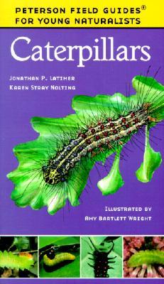 Caterpillars (Paperback)