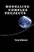 Modelling Complex Projects