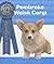 Pembroke Welsh Corgi (Breeders' Best)